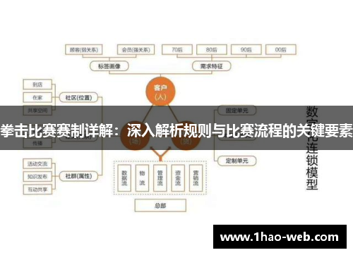 拳击比赛赛制详解：深入解析规则与比赛流程的关键要素