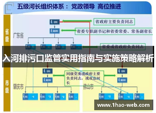 入河排污口监管实用指南与实施策略解析
