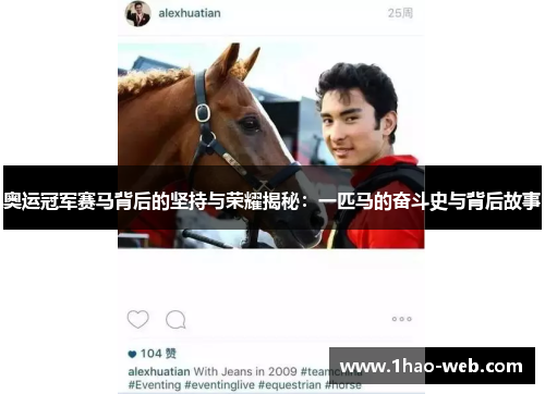 奥运冠军赛马背后的坚持与荣耀揭秘：一匹马的奋斗史与背后故事