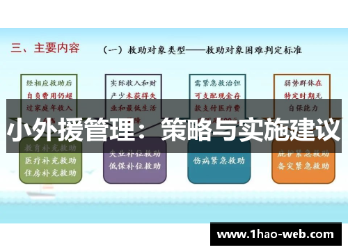 小外援管理：策略与实施建议